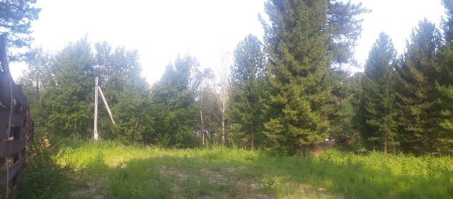 земля д Некрасово ул Кедровая 12г Богашёвское сельское поселение, Богашево фото
