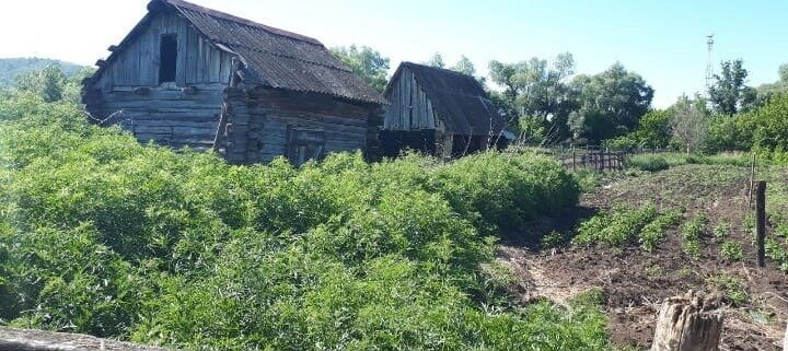 дом р-н Зианчуринский д Башкирская Ургинка ул Школьная фото 6