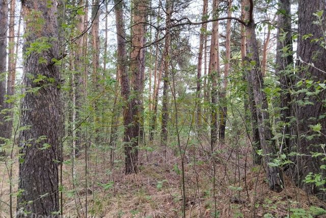 земля п Чусовая ул Ясная городской округ Дегтярск фото