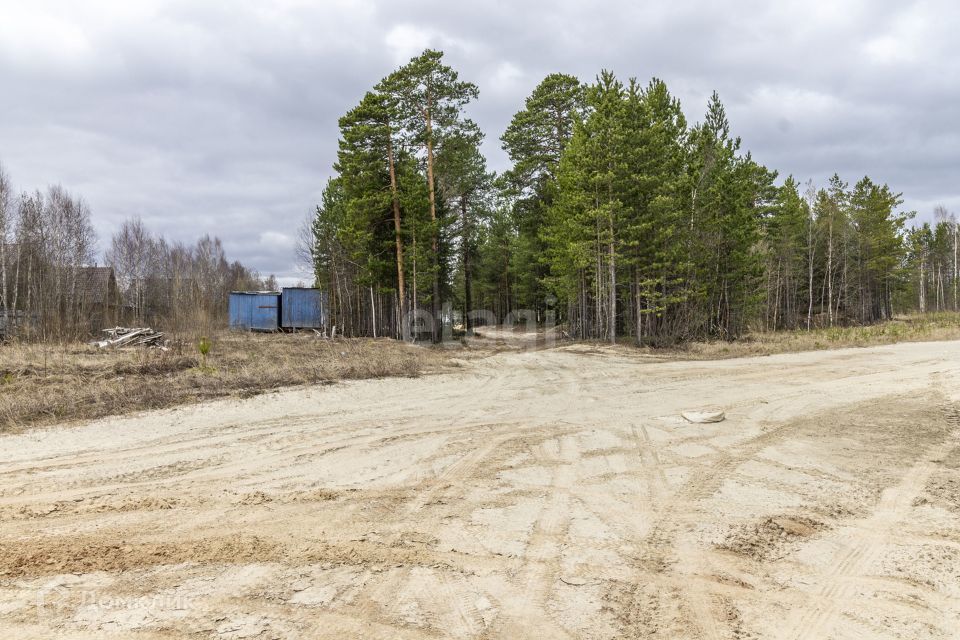 земля г Сургут городской округ Сургут, ДНТ Алтай фото 2