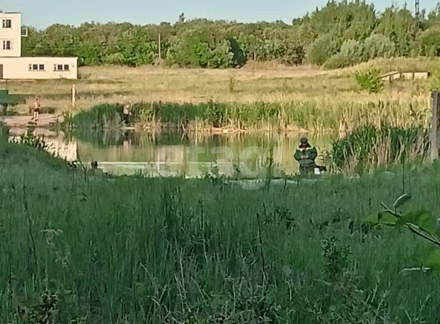 земля г Ульяновск снт Лесовод 2-я линия, городской округ Ульяновск фото 4