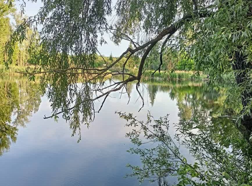 земля г Ульяновск снт Лесовод 2-я линия, городской округ Ульяновск фото 10