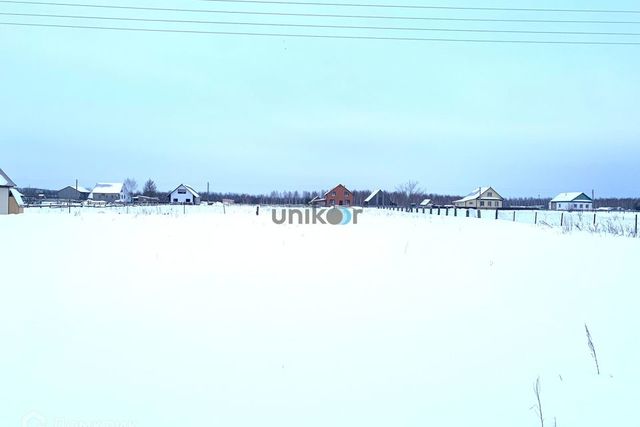 село Новокулево фото