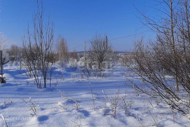 село Николо-Павловское фото