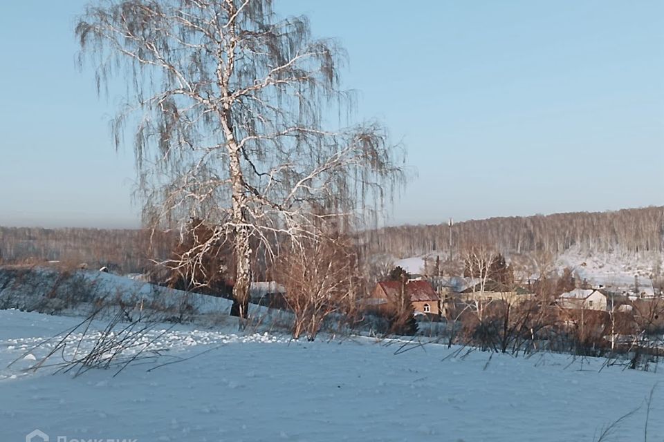 земля р-н Новосибирский село Гусиный Брод фото 1