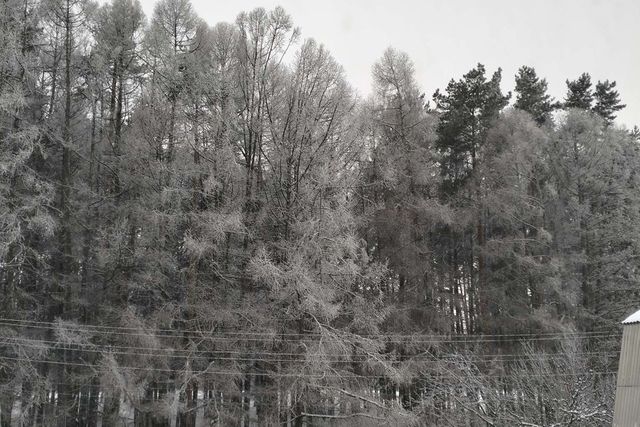 ул Островского городской округ Пенза фото