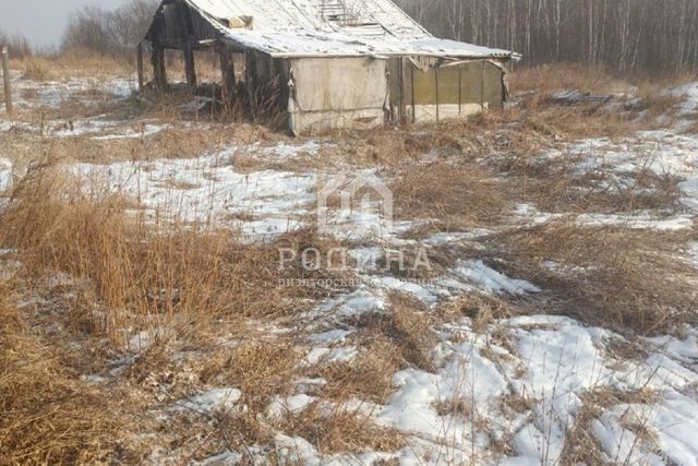 ул Центральная городской округ Комсомольск-на-Амуре фото