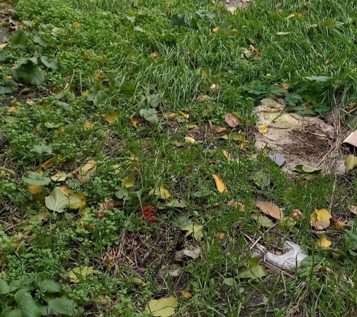 земля г Батайск городской округ Батайск, ДНТ Весна фото 3