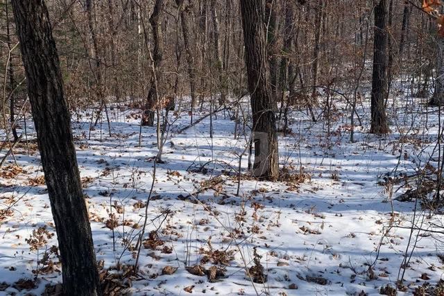 земля Владивостокский городской округ фото