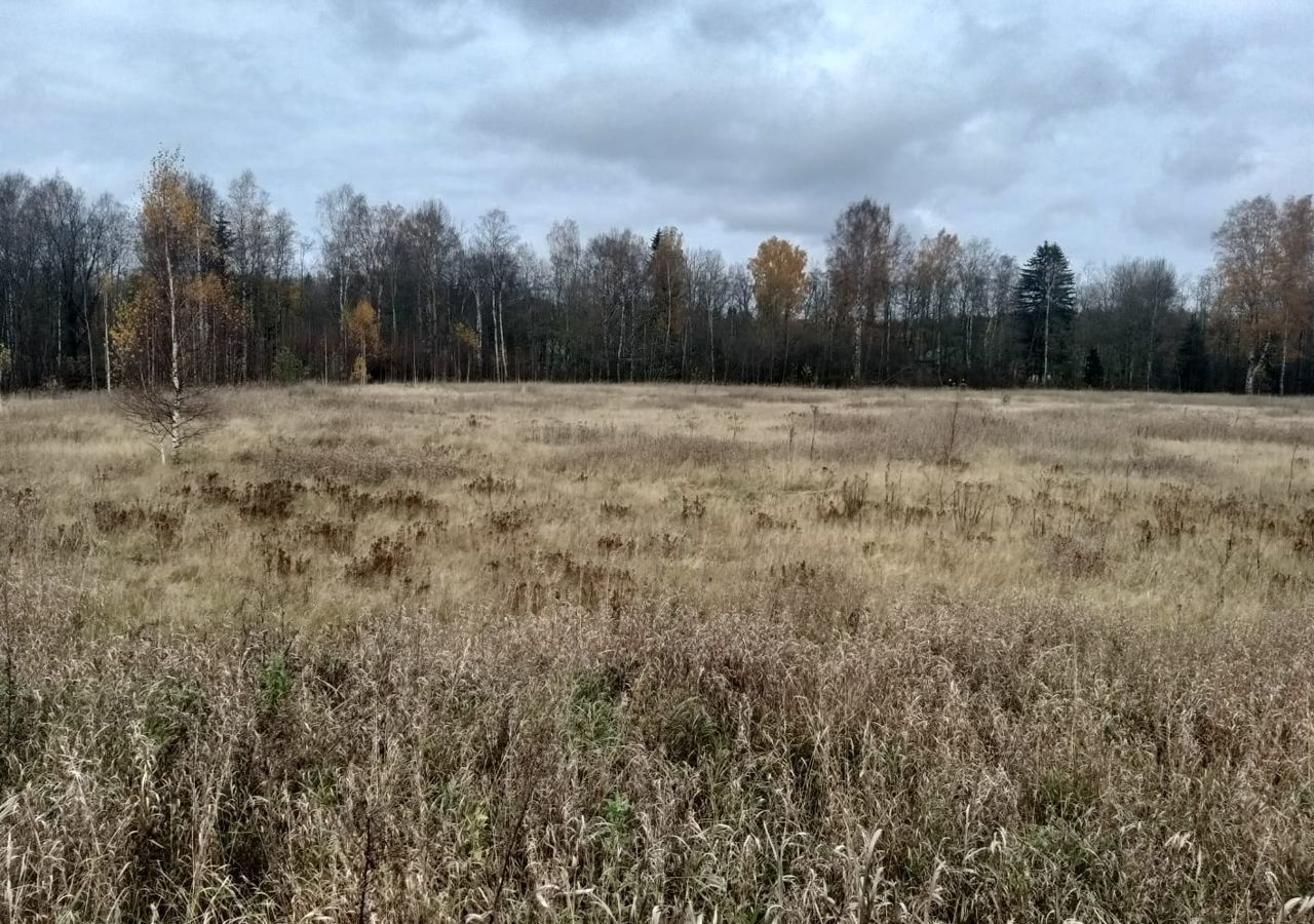 земля р-н Всеволожский снт тер.Островки-Пороги Свердловское городское поселение, Отрадное фото 5