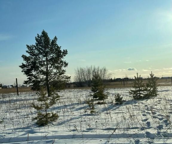 городской округ Якутск, садово-огородническое некоммерческое товарищество Сатал фото