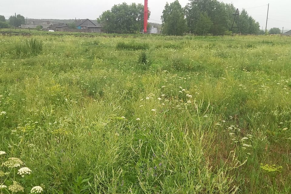 земля р-н Слободо-Туринский с Храмцово пер Зелёный 14а фото 2