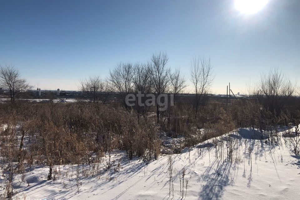 земля р-н Тамбовский с Садовое ул Садовая 1 городской округ Благовещенск фото 5