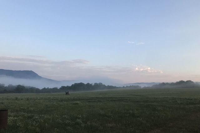 станица Убинская фото