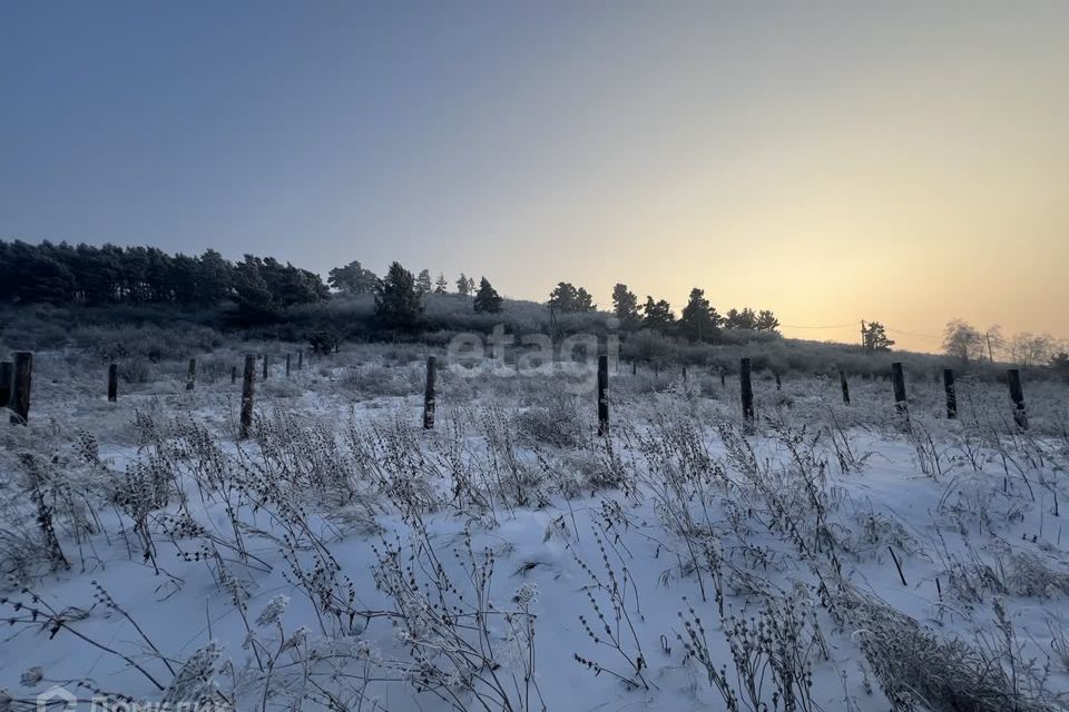 земля р-н Минусинский село Селиваниха фото 2