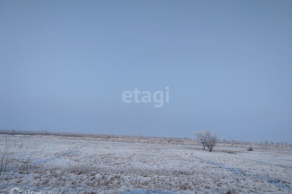 земля р-н Алтайский деревня Кайбалы фото 4