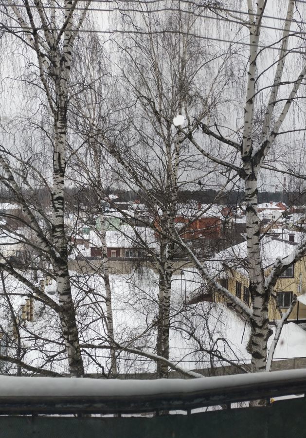 квартира г Орехово-Зуево ул Гагарина 12б Орехово-Зуевский г. о. фото 15