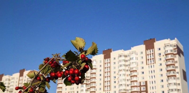 квартира г Москва п Десеновское новые Ватутинки мкр. «Центральный» метро Ольховая к 9/2. 2 фото 6