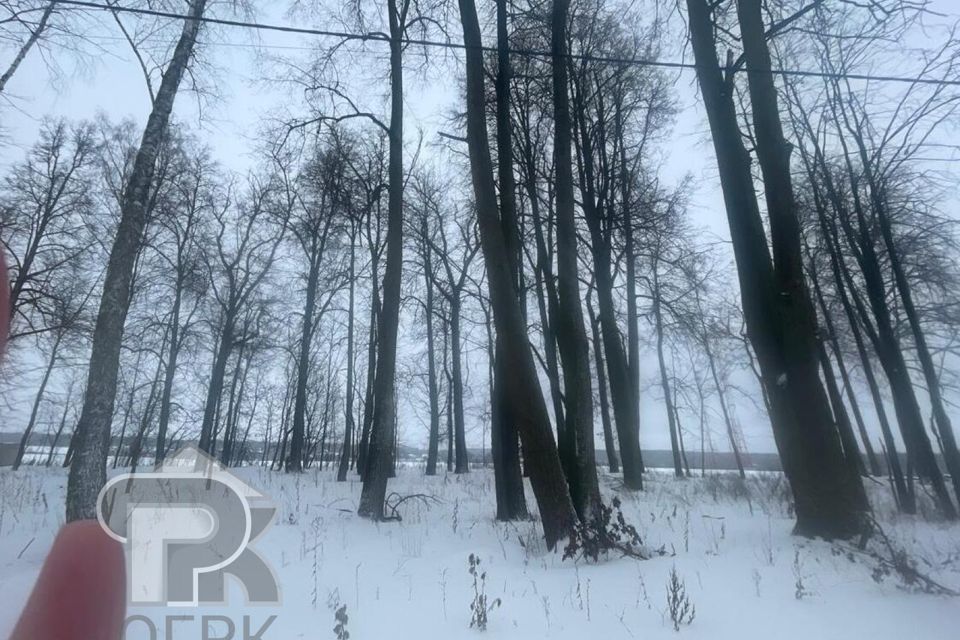 земля г Домодедово территория КП Данилово Парк, городской округ Домодедово фото 4