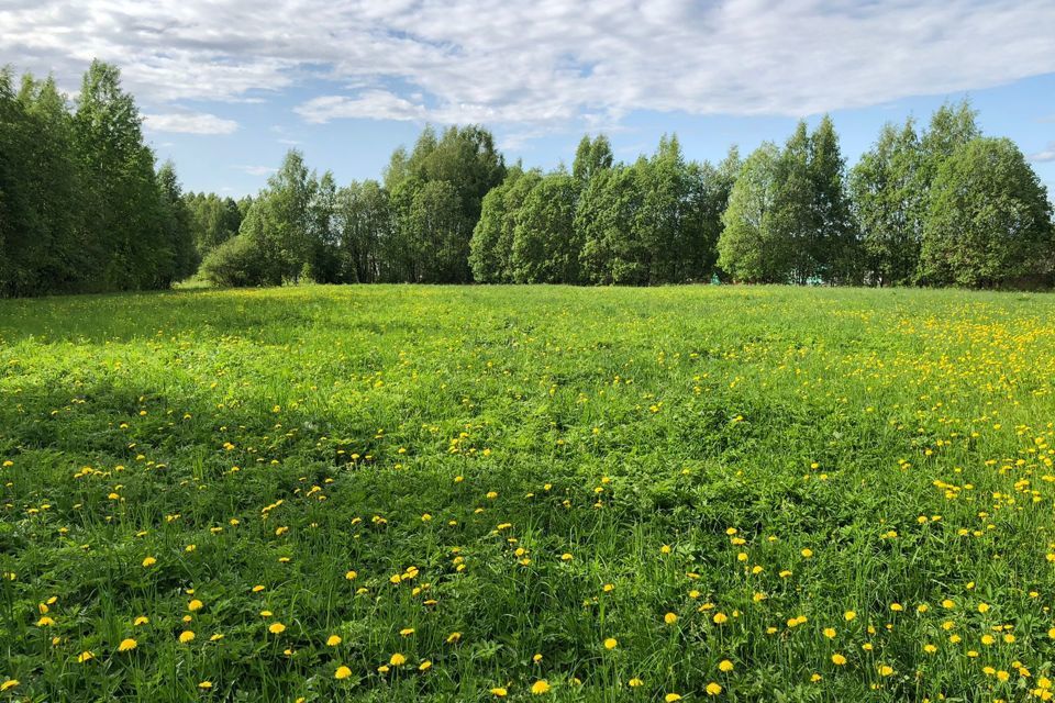 Зеленая Поляна Купить Участок