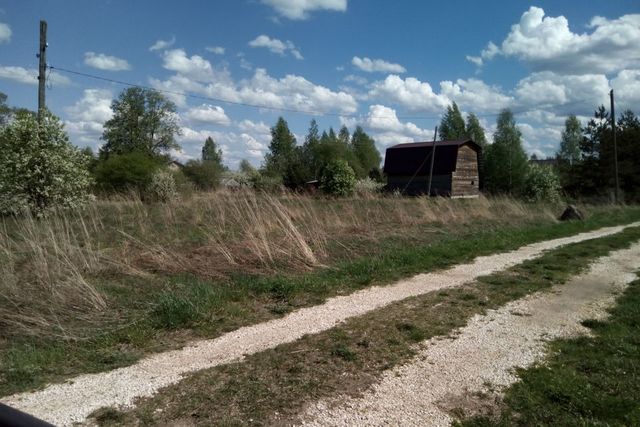 земля деревня Васильки фото