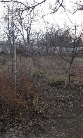 Республика Северная Осетия — Моздокский р-н, садово-огородническое товарищество Дружба, квартал 2 фото
