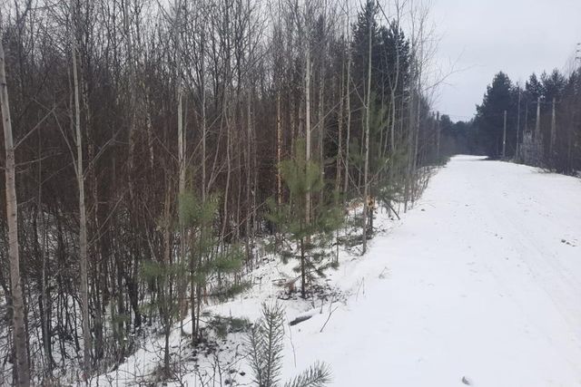 пгт Верхняя Максаковка ул Заозерная городской округ Сыктывкар фото