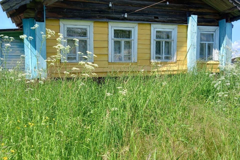 дом р-н Красноборский деревня Харино фото 1
