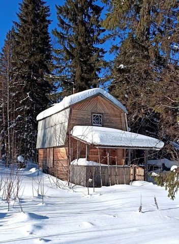 муниципальное образование Синдор фото