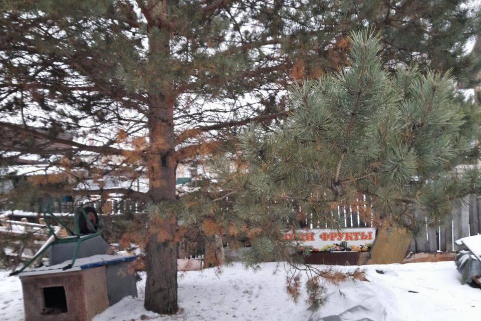 дом г Сургут городской округ Сургут, СОК Ягодное фото 2