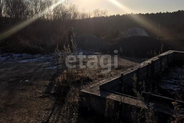 с Плодопитомник СНТ Мичуринец, городской округ Благовещенск фото