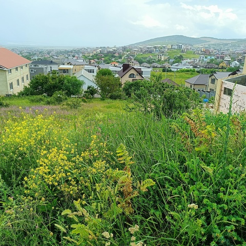 муниципальное образование Анапа фото муниципальное образование Анапа фото