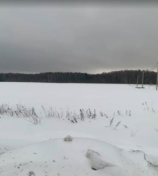 земля городской округ Чехов д Васькино Чехов фото 13