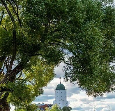 квартира р-н Выборгский г Выборг р-н Центральный наб Адмирала Чичагова фото 17