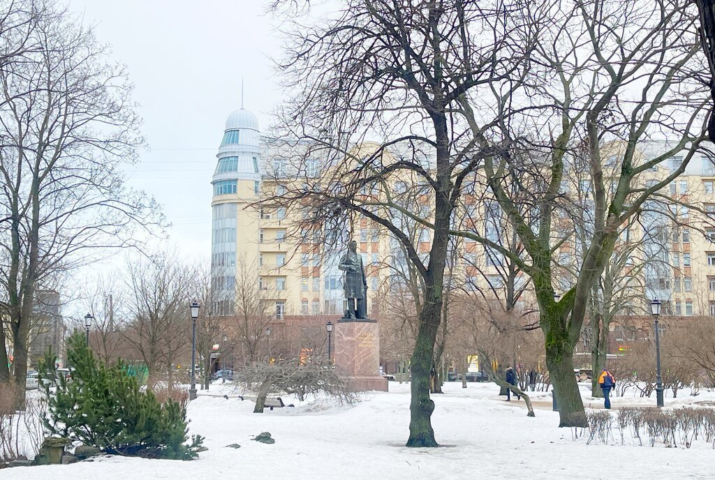 квартира г Санкт-Петербург метро Петроградская пр-кт Каменноостровский 44в фото 20