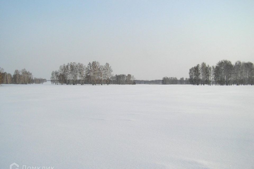 земля р-н Лужский деревня Нелаи фото 1