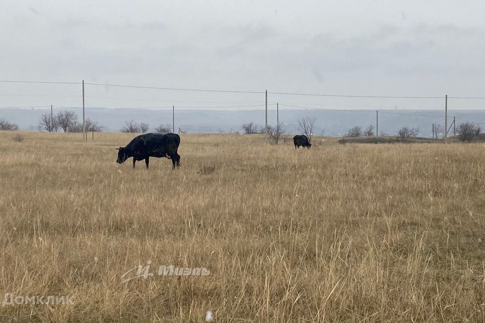 земля г Севастополь с Полюшко ул Ибрагима Беркутова Нахимовский район фото 4