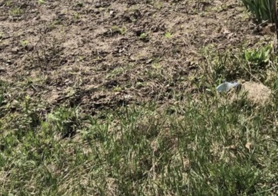 земля г Рязань городской округ Рязань, садоводческое товарищество Бетонщик фото 3