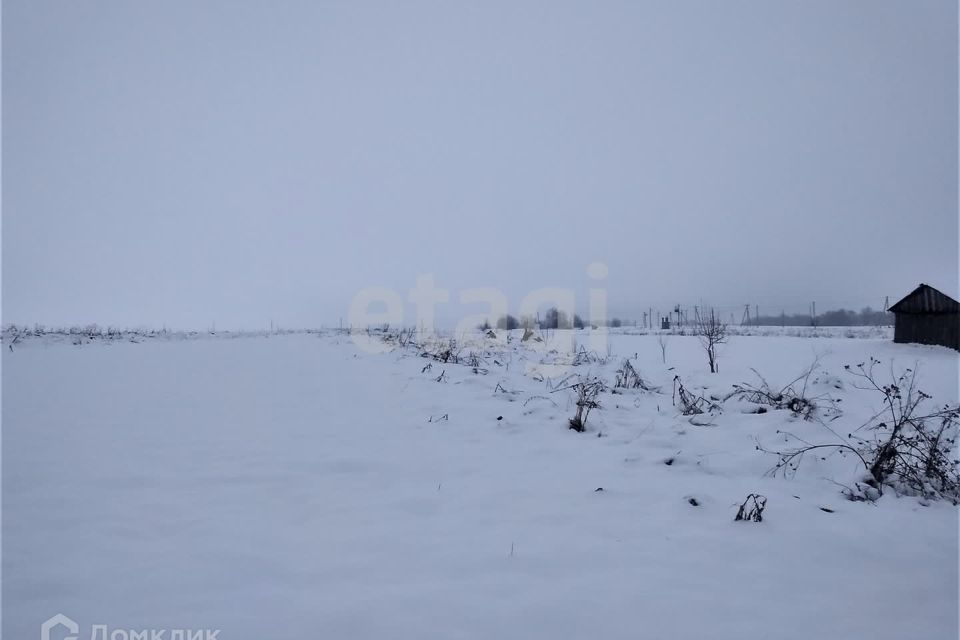 земля р-н Брянский территория садоводческого общества Снежка, 947 фото 2
