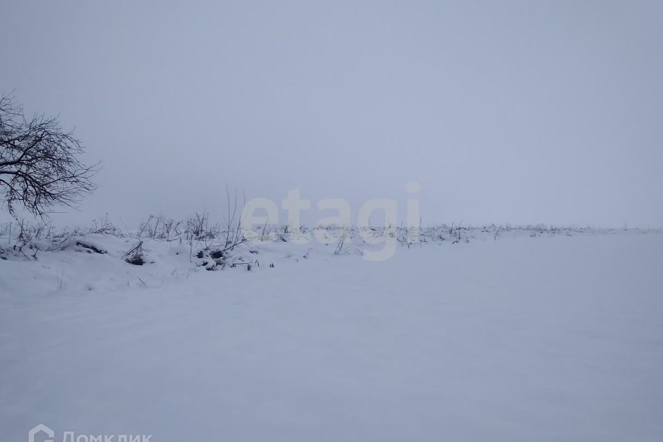 земля р-н Брянский территория садоводческого общества Снежка, 947 фото 3