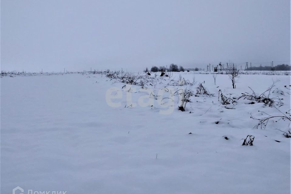 земля р-н Брянский территория садоводческого общества Снежка, 947 фото 4
