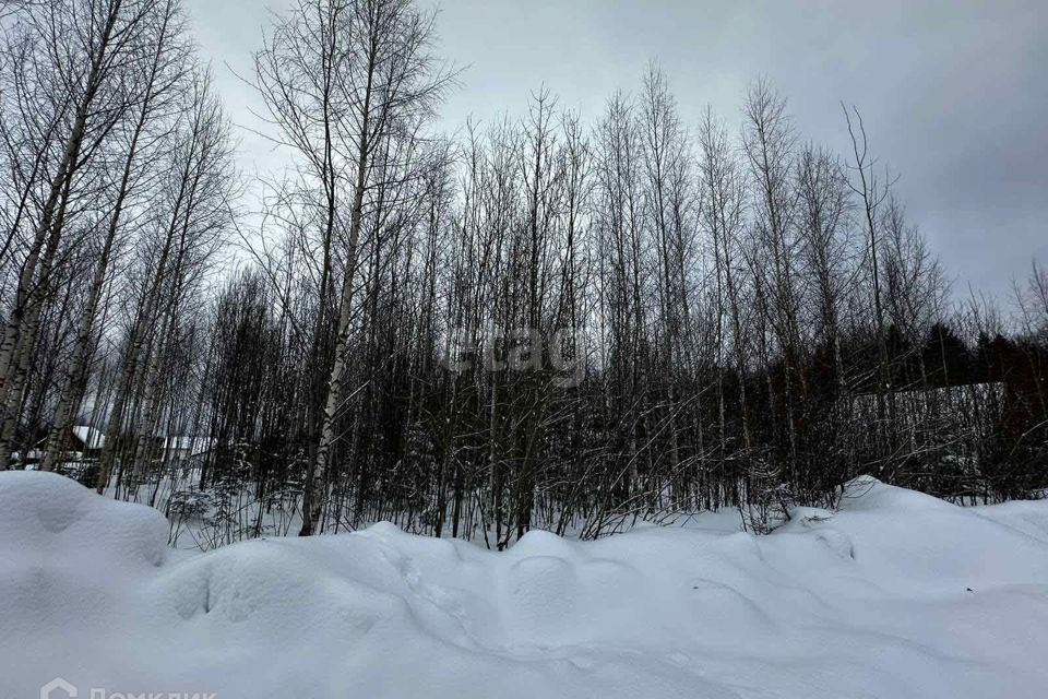земля г Пермь фото 5
