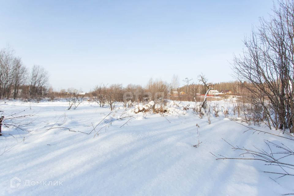 земля г Тобольск 3-й квартал, городской округ Тобольск фото 9