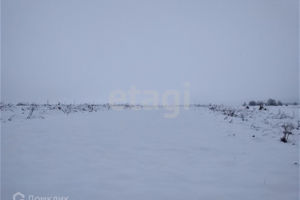 земля р-н Брянский территория садоводческого общества Снежка, 947 фото 5