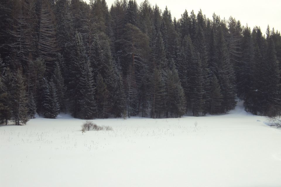 земля г Полевской д Кенчурка ул Набережная 32 Полевской городской округ фото 3