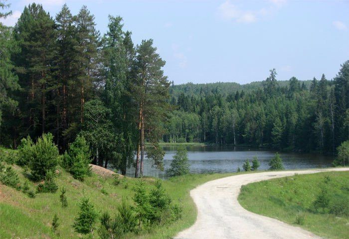 земля г Полевской д Кенчурка ул Набережная 32 Полевской городской округ фото 4