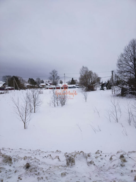 земля городской округ Талдомский с Квашёнки фото 15