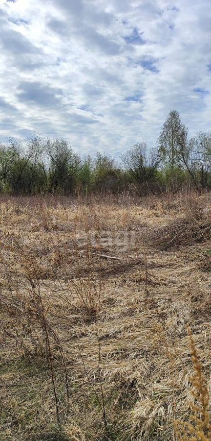 земля р-н Новосибирский Кубовинский сельсовет, ДНП Содружество, 156, Колывань фото 1