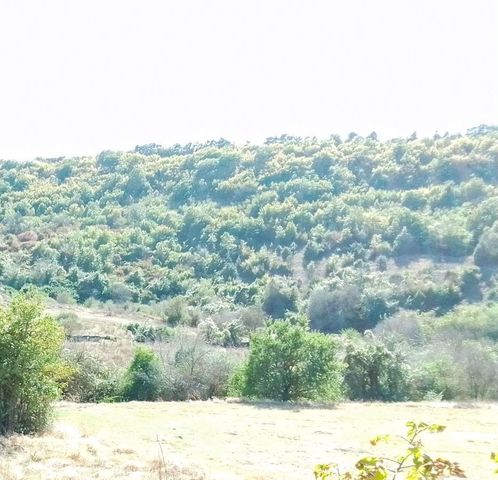 р-н Белогорский г Белогорск Богатовское сельское поселение фото