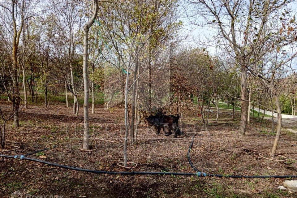 земля г Новороссийск с Борисовка пер Калиновый 9 муниципальное образование Новороссийск фото 3